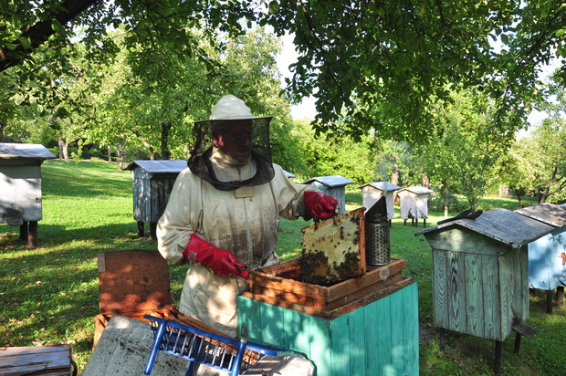 Ogród z duszą. Małe zapylacze.