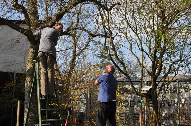 pielęgnacja najważniejsza