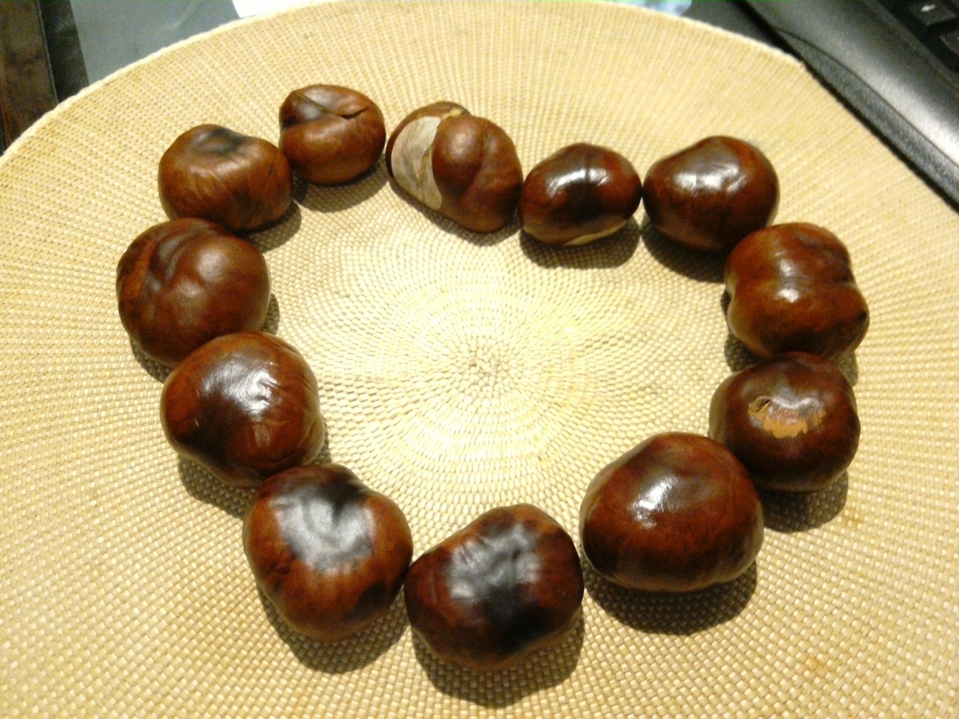 Pierwsze kasztany z mojego kasztanowca