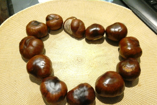 Pierwsze kasztany z mojego kasztanowca