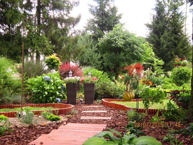 Północna cześć naszego ogródka