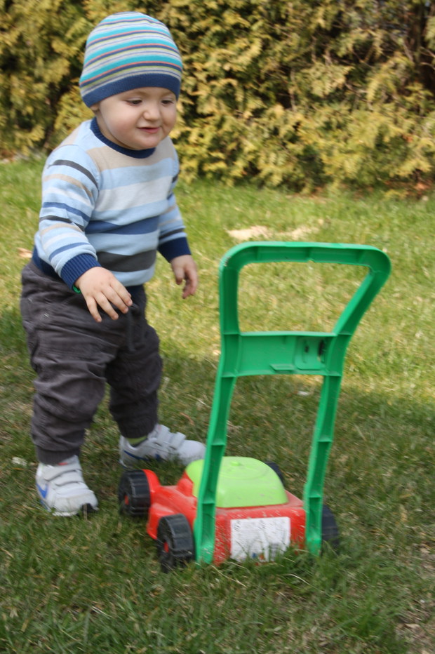 Pora na koszenie trawy :) 