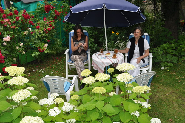 różano i hortensjowo