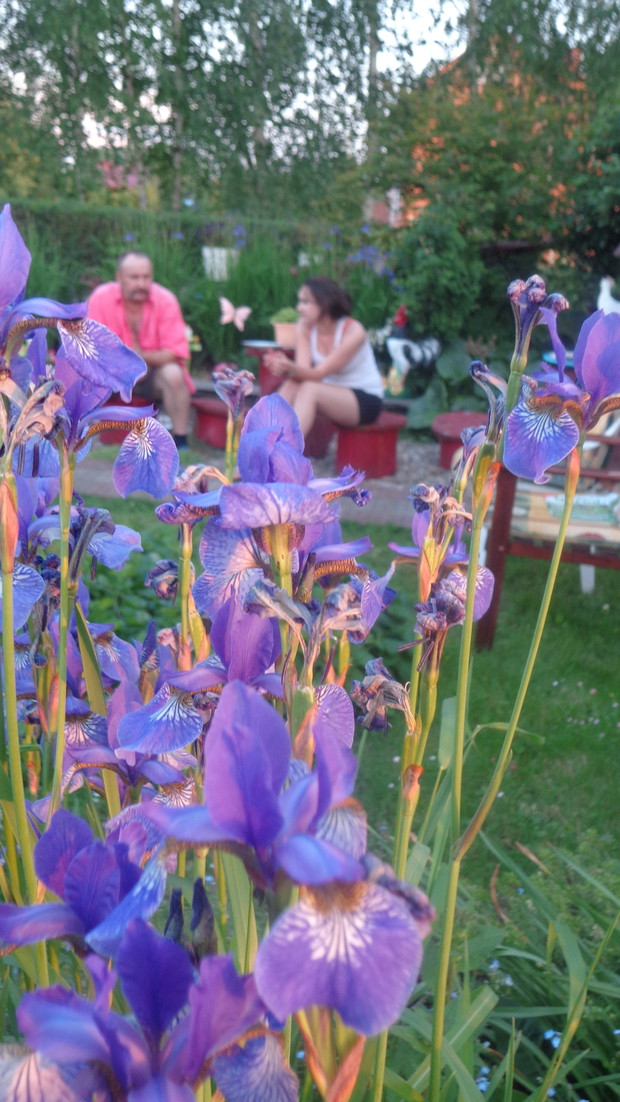 Rozmowa na tle Irysów.