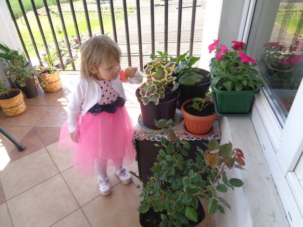 Siostrzenica Wiktoria