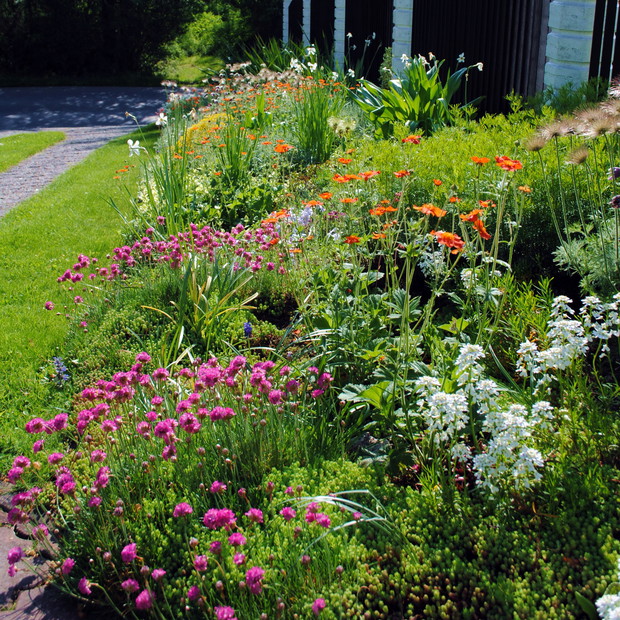 Skalniak przy wjeździe na posesję 