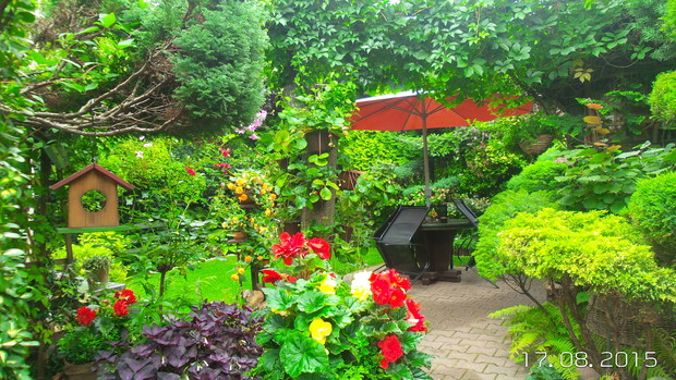 ta sciezka prowadzi do saloniku - pod chmurka