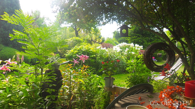 to jest to co tak lubie - ten widok mojej rabaty nr.1