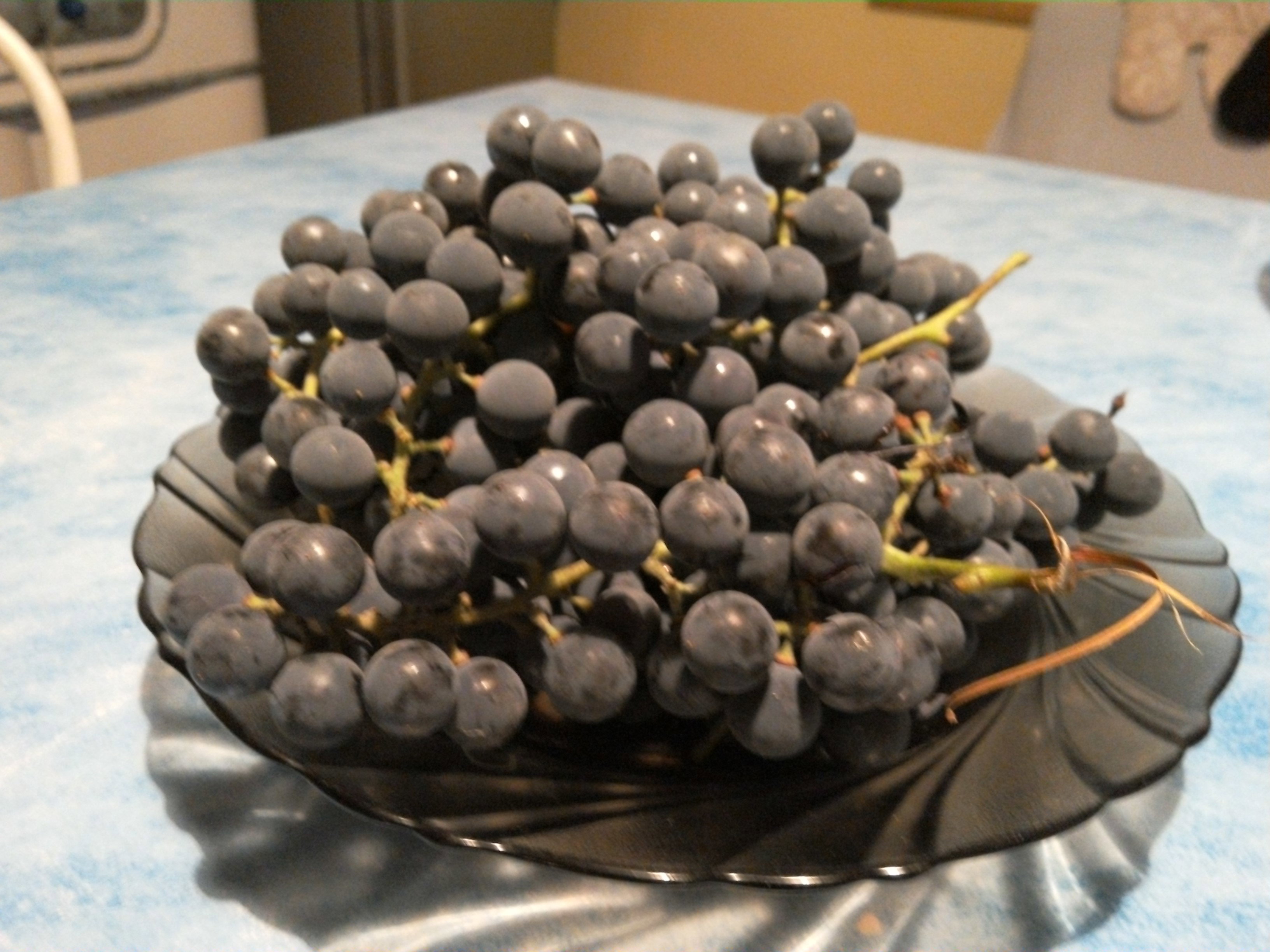 To tylko część wszystkich owoców