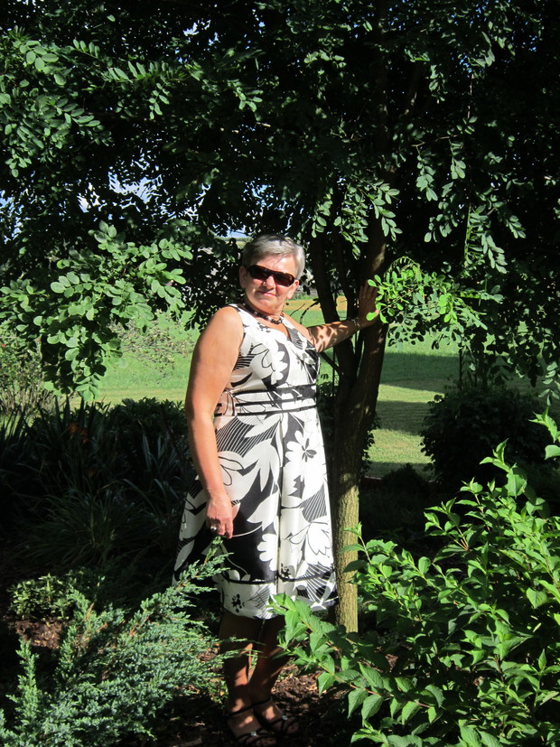 w cieniu robinii akacjowej