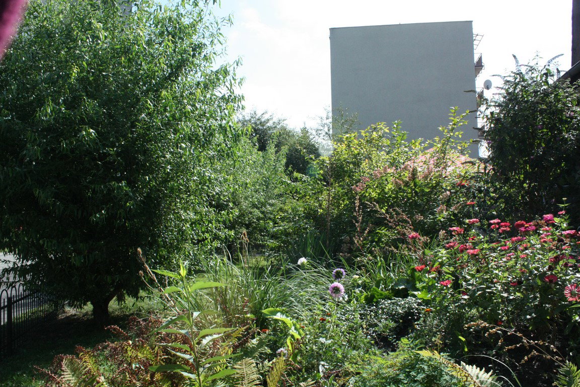 W "spacerowej" części ogrodu dobrałam rośliny relaksujące, trawy, wierzby z delikatnymi liśćmi przycinam na kule :)