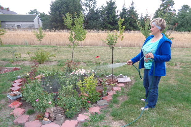 W upalne dni pomagam rośliną .