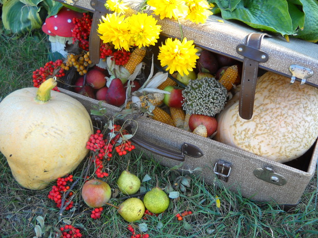 Walizka wypełniona darami Jesieni.