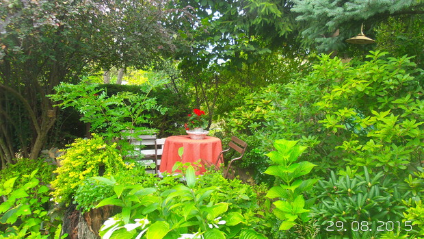 wczesnym rankiem to tu najczęściej siadam z mala czarna