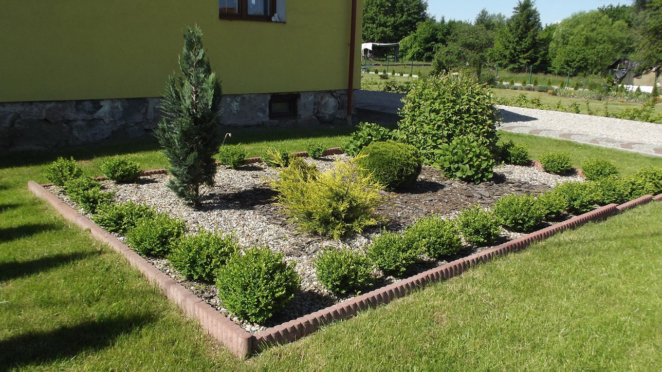 Wiecznie zielona rabata