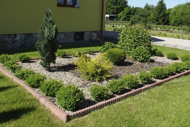 Wiecznie zielona rabata