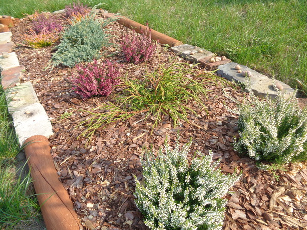 Wrzosy to najwspanialszy cud września.