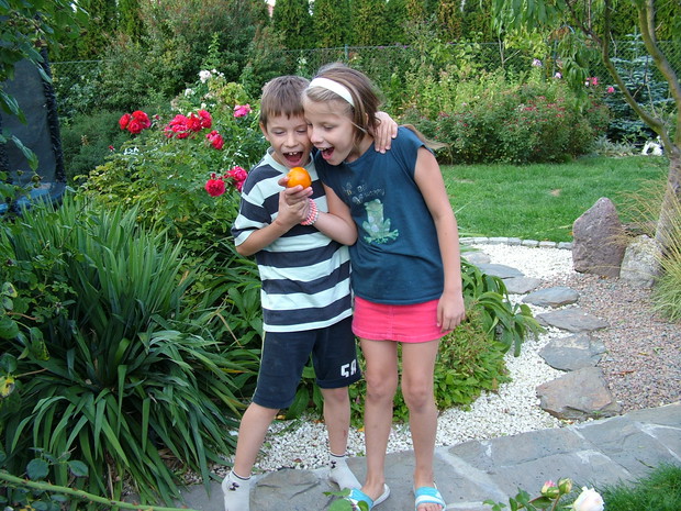 Wspólna konsumpcja zerwanego przed chwilką pomidora