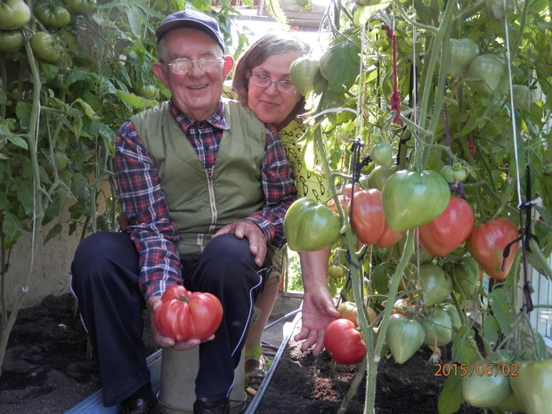 Wspólna praca w szklarni przynosi taaaakie owoce :)