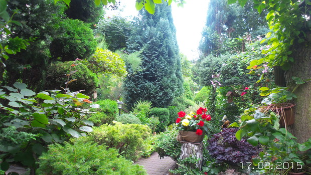 wyjście z saloniku pod chmurka