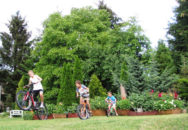 wyścigi...wyścigi....