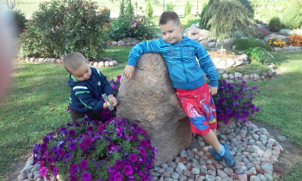 Zabawa z młotkiem, a ja martwię się żeby moje kwiatki nie oberwały :)