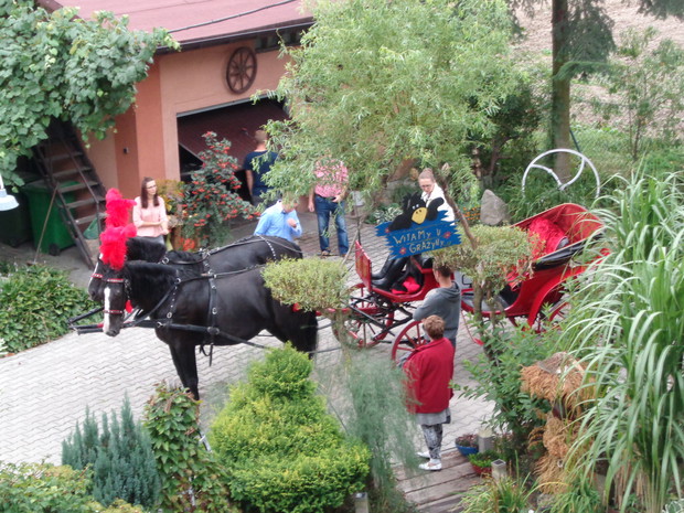 Zawsze zawsze dzieje się w ogrodzie....