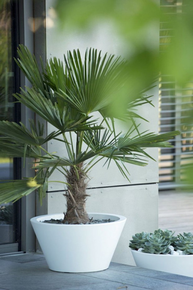 (zdj.: Terraform.pl)