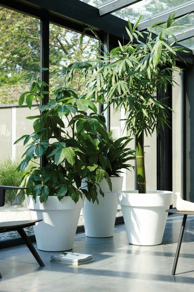 (zdj.: Terraform.pl)