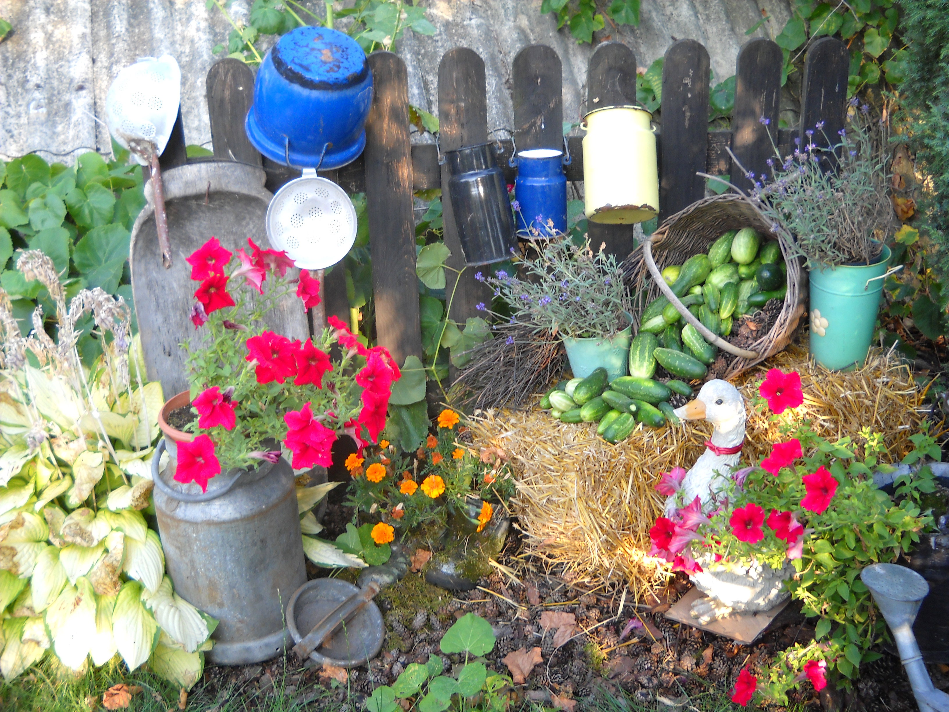 Zmiana dekoracji przy płotku.