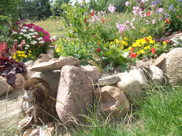 Byliny wabią owady. 