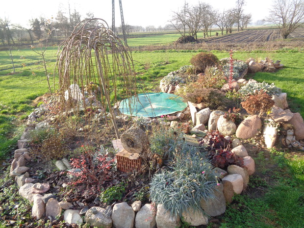 Ciekawie na rabatach. 