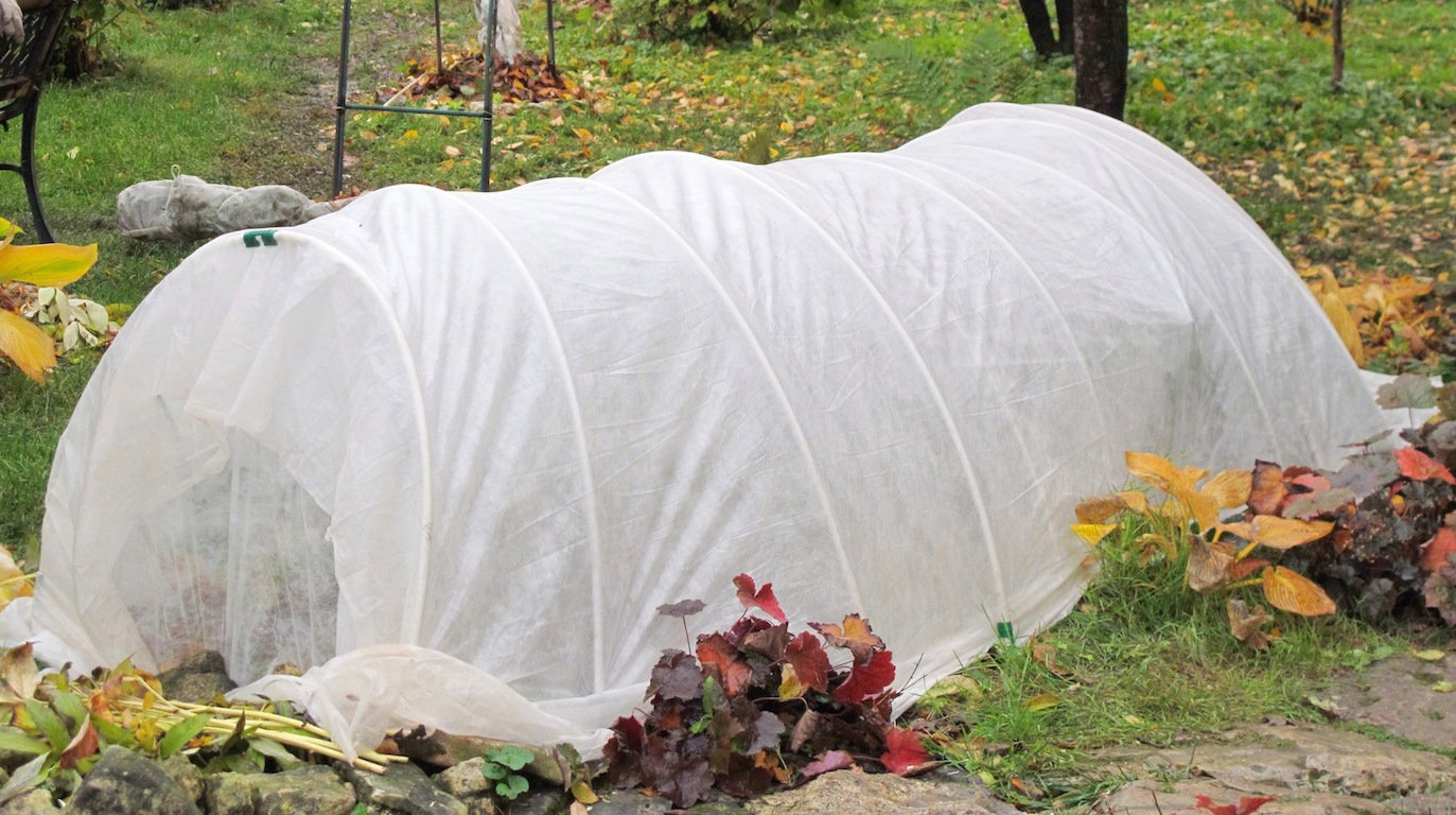 Dbanie o byliny jesienią (zdj.: Fotolia.com)