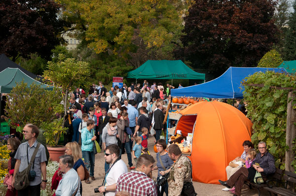 Festiwal co roku przyciąga ogromne ilości odwiedzajacych