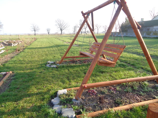 Grudniowa soczysta trawa. 