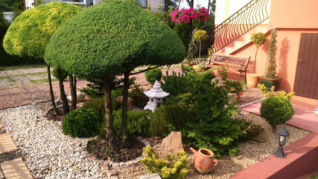 grzybki sama wycinałam :)