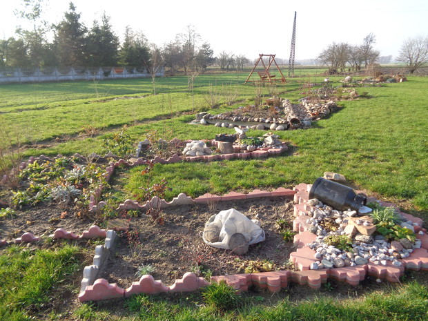 Hortensje już otuliłam agrowłókniną.