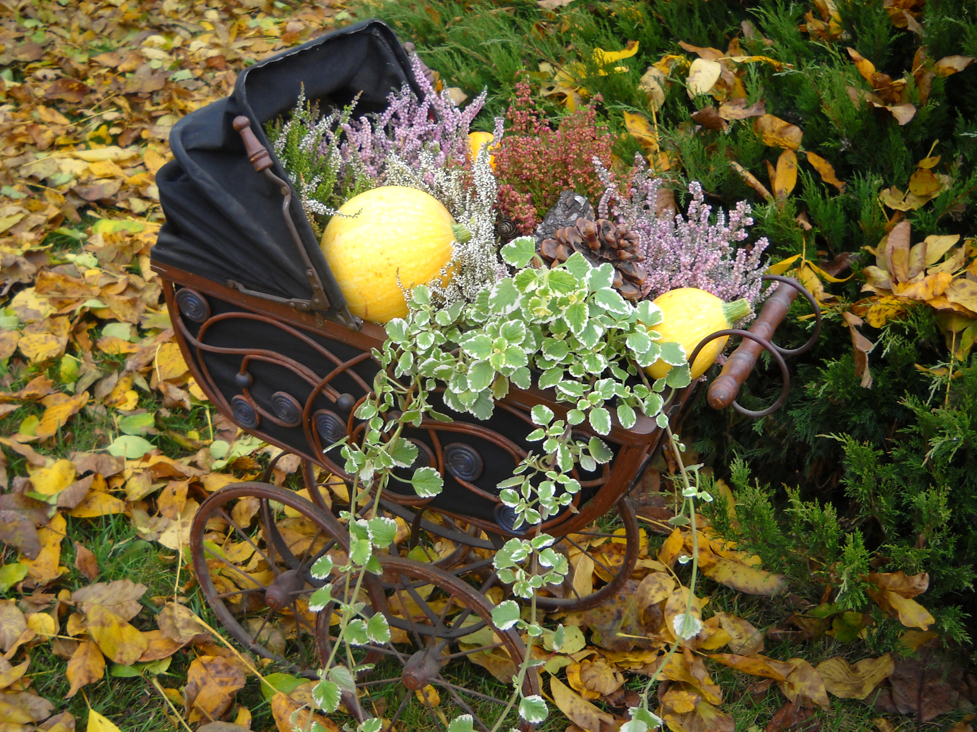 Kompozycja w starym wózku.