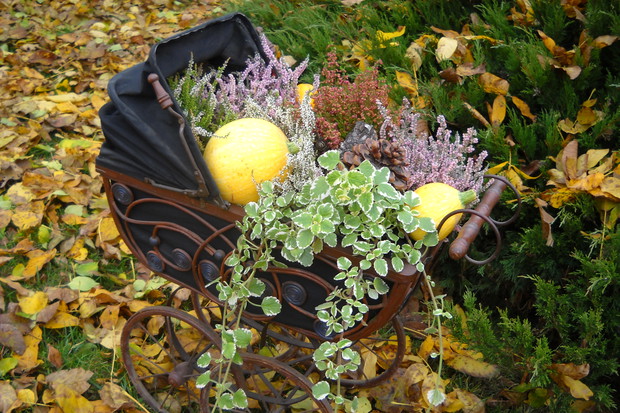 Kompozycja w starym wózku.