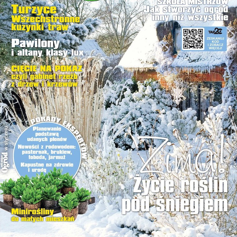 Mój Piękny Ogród 1/2015