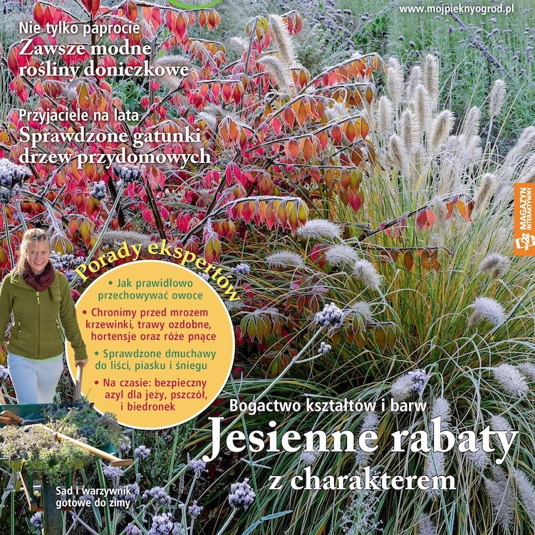 Mój Piękny Ogród 11/2015
