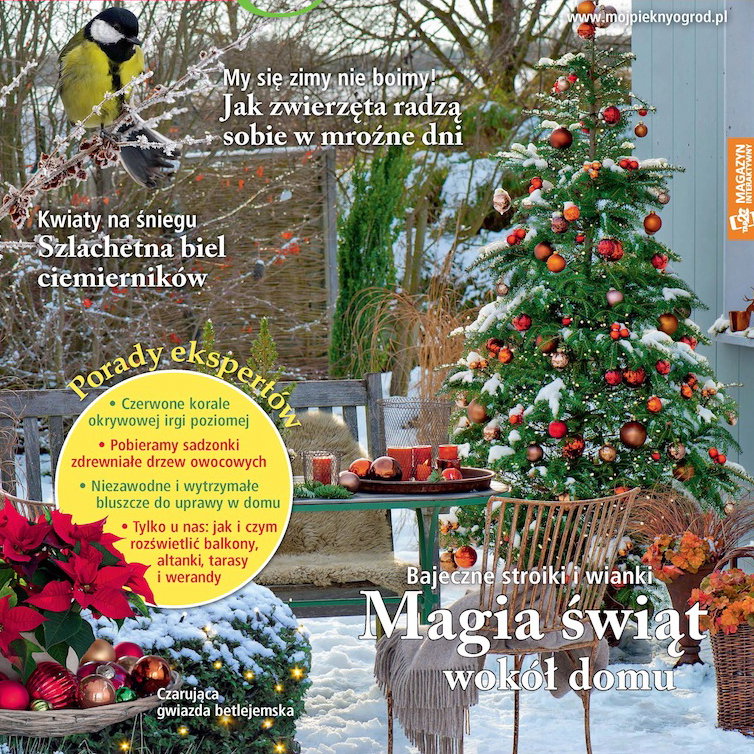 Mój Piękny Ogród 12/2015