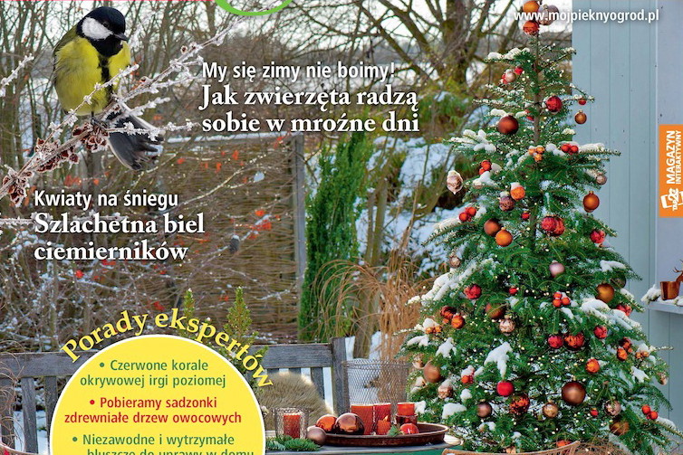 Mój Piękny Ogród 12/2015