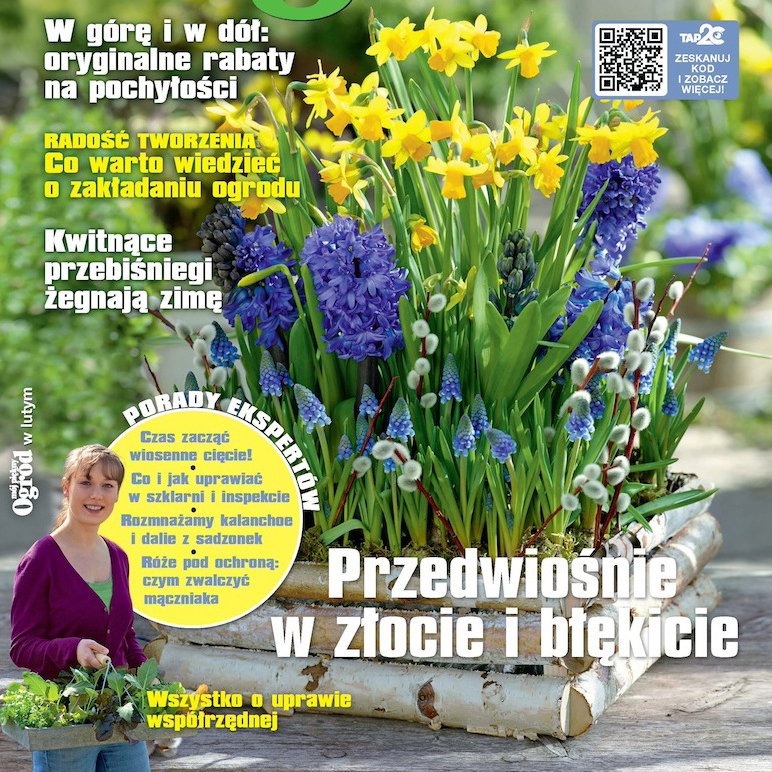 Mój Piękny Ogród 2/2015