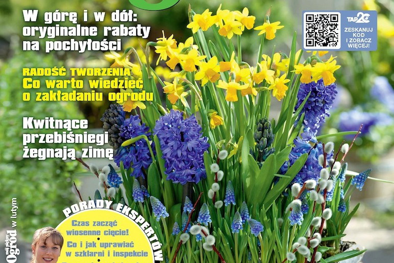 Mój Piękny Ogród 2/2015