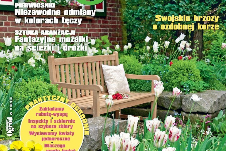 Mój Piękny Ogród 3/2015