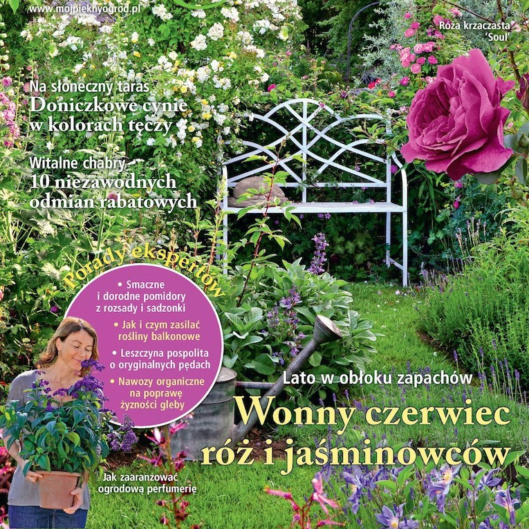 Mój Piękny Ogród 6/2015