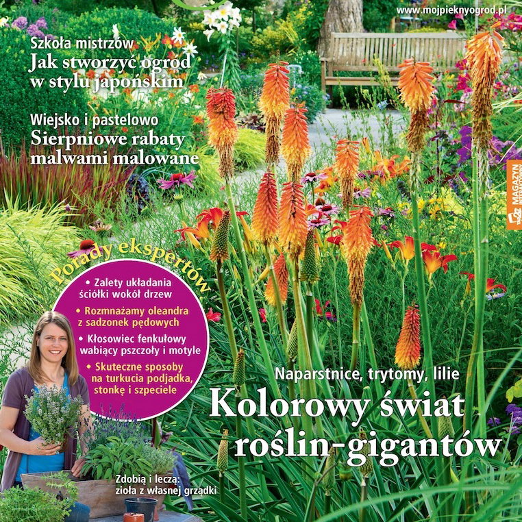 Mój Piękny Ogród 8/2015