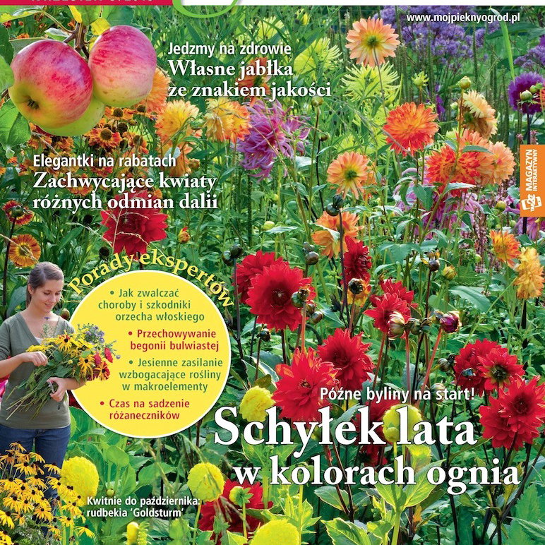 Mój Piękny Ogród 9/2015