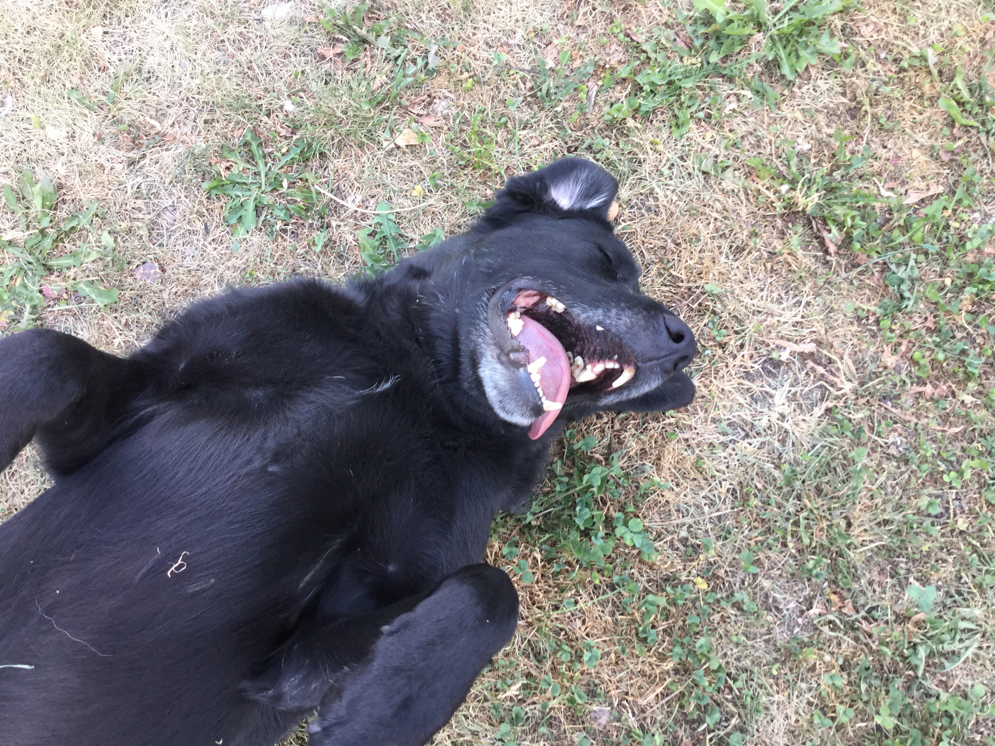 od rana mam dobry humor